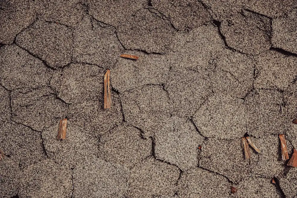 Close-up of worn hexagonal asphalt roof shingles with cracks and wood debris on the surface.